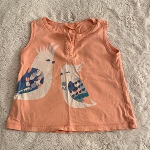 Tea collection toddler Parakeet Swing Tank